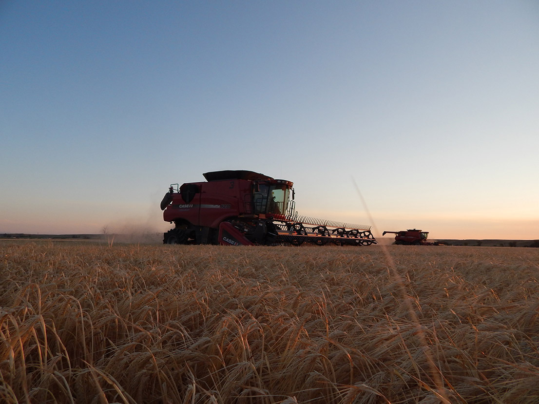 Thacker Harvesting