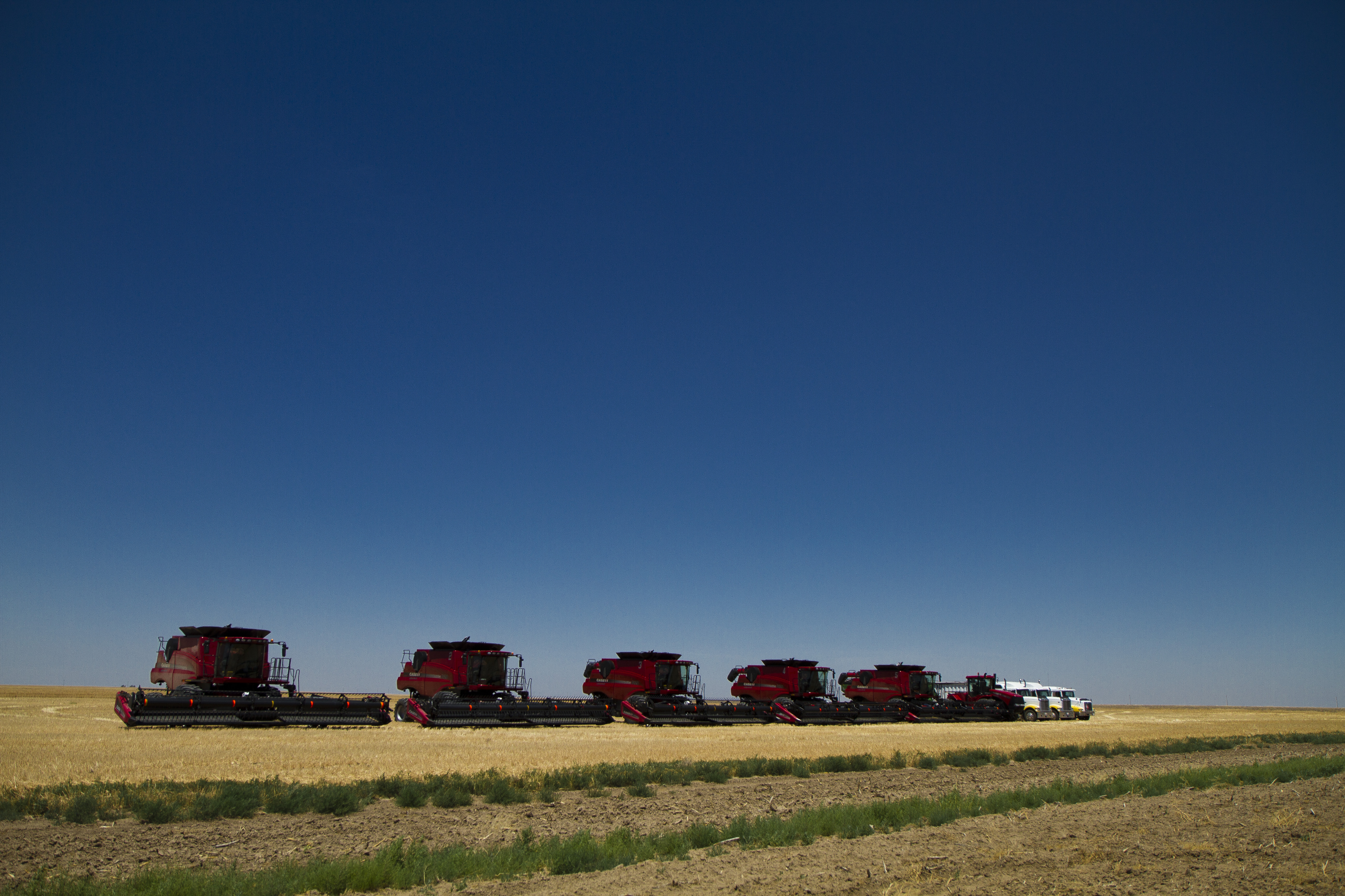 Thacker Harvesting